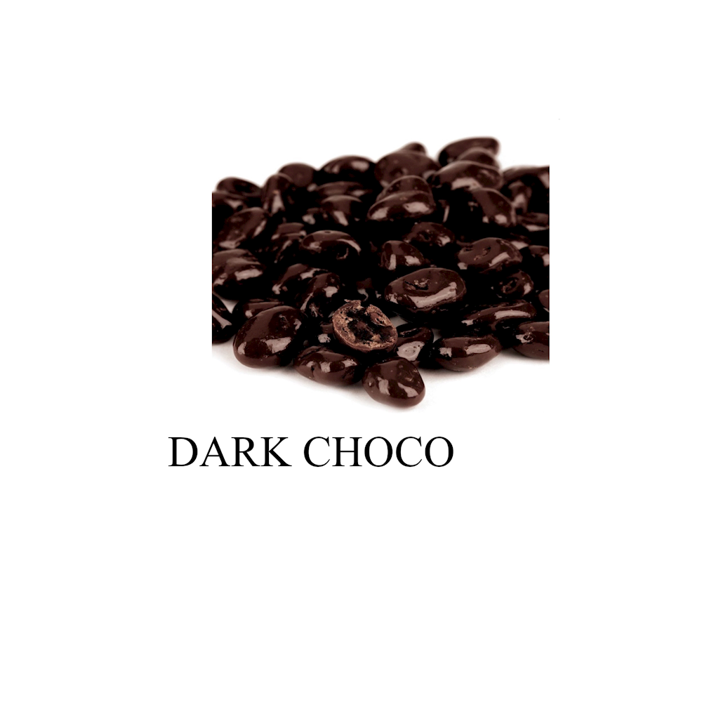 TerraFinna Dark Chocolate Raisins 9oz